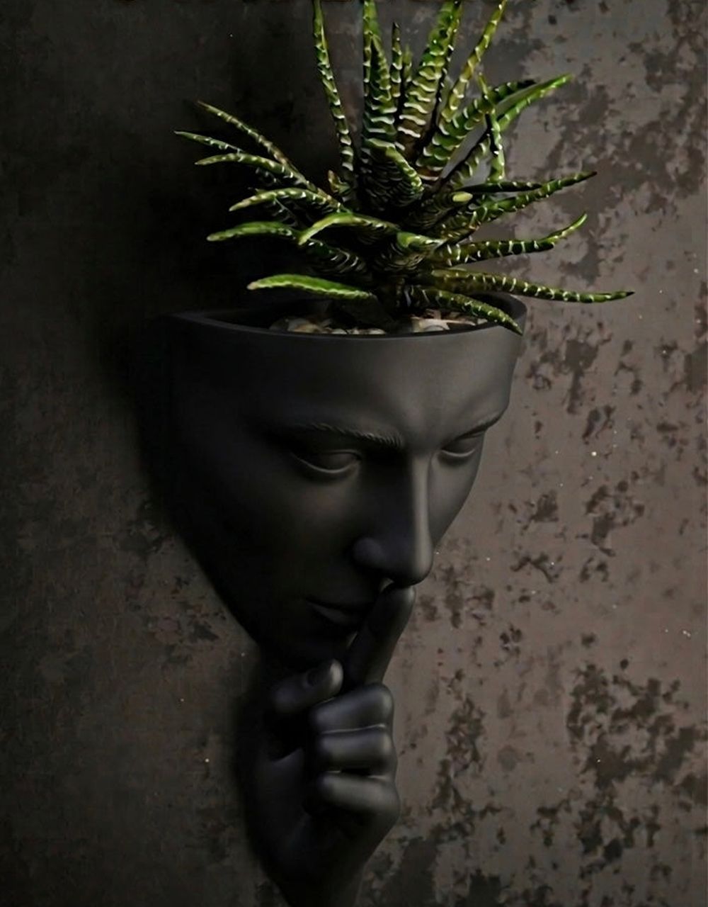 The Silent Face Wall Planter