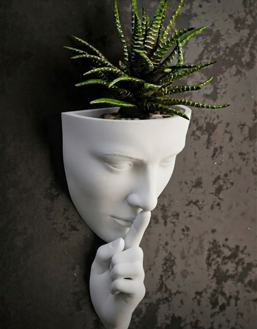 The Silent Face Wall Planter
